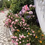 Bed & Breakfast Domestival Vila Verde dos Francos