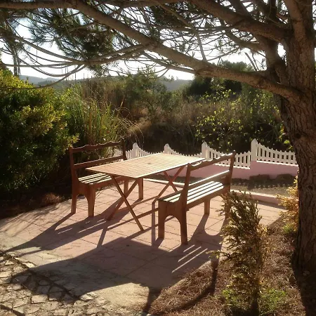 Domestival Bed & Breakfast